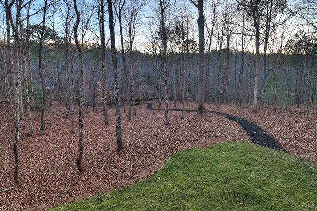 158 Tree Line Lane, Ellijay, GA 30536