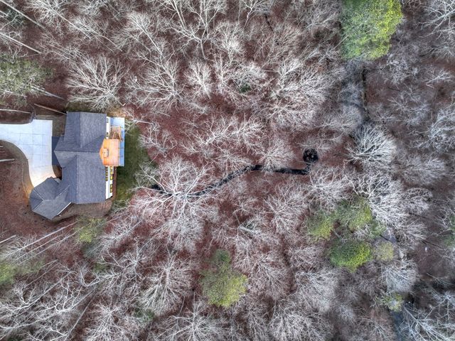 158 Tree Line Lane, Ellijay, GA 30536