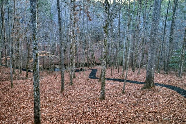 158 Tree Line Lane, Ellijay, GA 30536