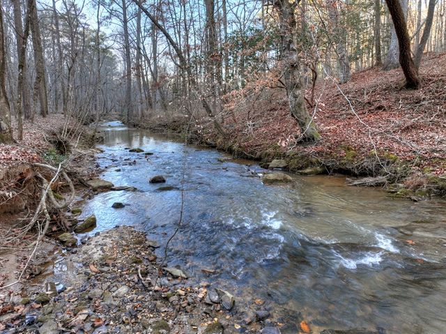 158 Tree Line Lane, Ellijay, GA 30536