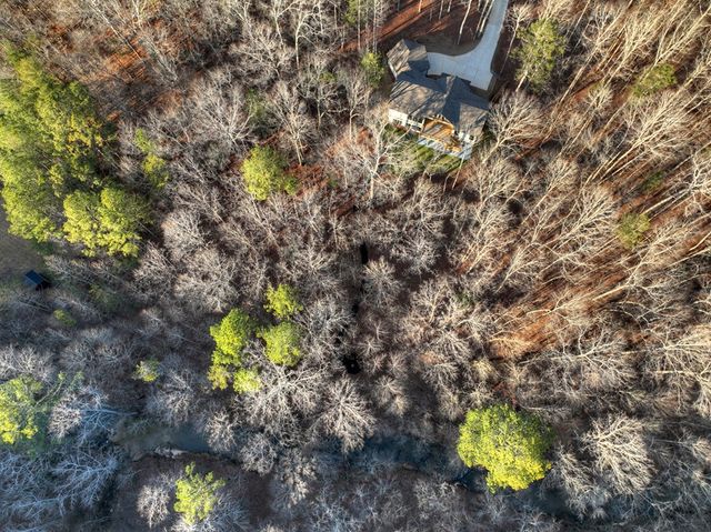 158 Tree Line Lane, Ellijay, GA 30536