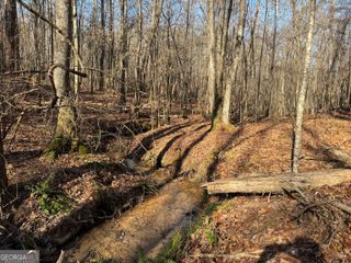 LOT 15 Indigo Trail, Newnan, GA 30263