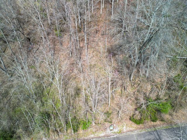 67 Waterwalk Ct, Smithville, TN 37166