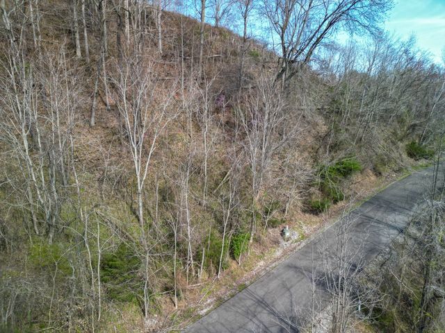 67 Waterwalk Ct, Smithville, TN 37166