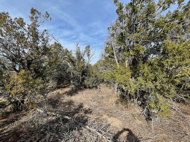 194 B County Line Road, Edgewood, NM 87015