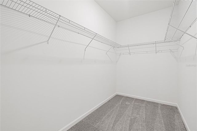 3119 KURTZ TERRACE, Davenport, FL 33837