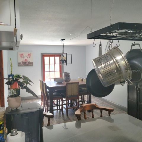 28800 WALKER DRIVE, Wesley Chapel, FL 33544