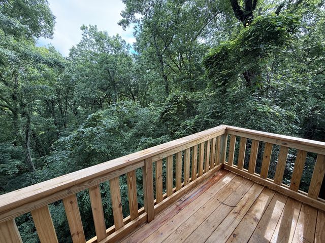 1081 Savely Rd, Pegram, TN 37143