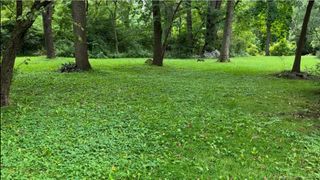 0 Woodland Court, East China, MI 48054