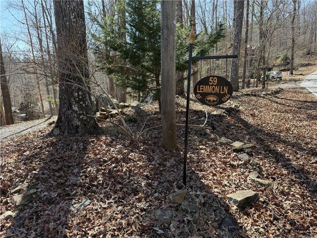 59 Lemmon Lane, Ellijay, GA 30540