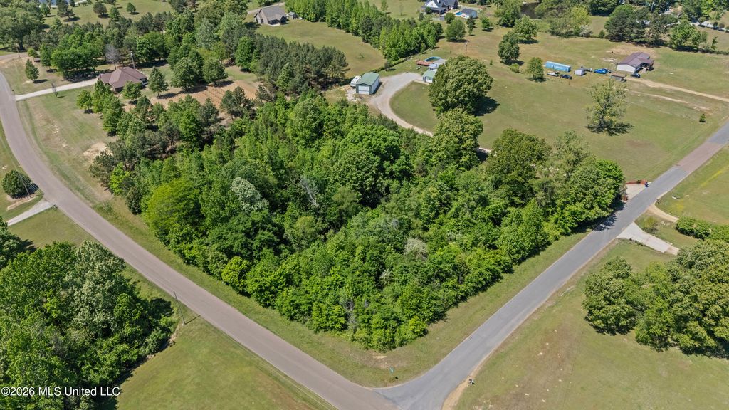 10566 Oak View Drive, Hernando, MS 38632 — exterior