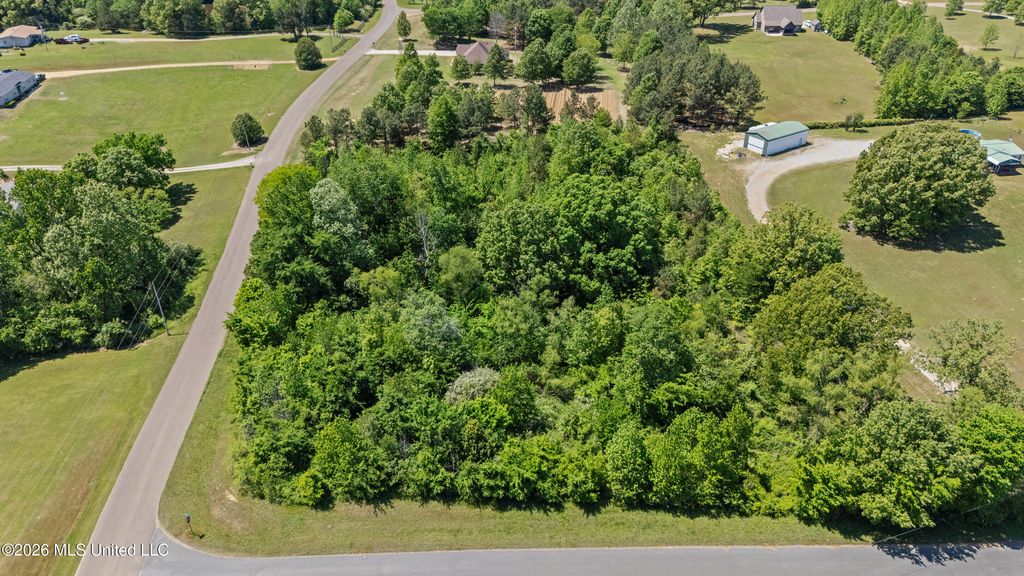 10566 Oak View Drive, Hernando, MS 38632 — photo 3