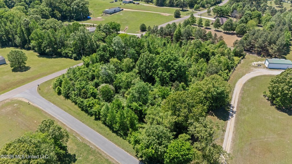 10566 Oak View Drive, Hernando, MS 38632 — photo 4