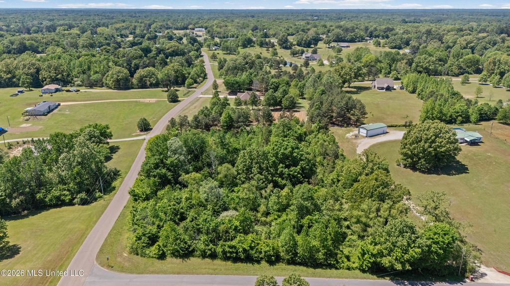 10566 Oak View Drive, Hernando, MS 38632 — photo 5