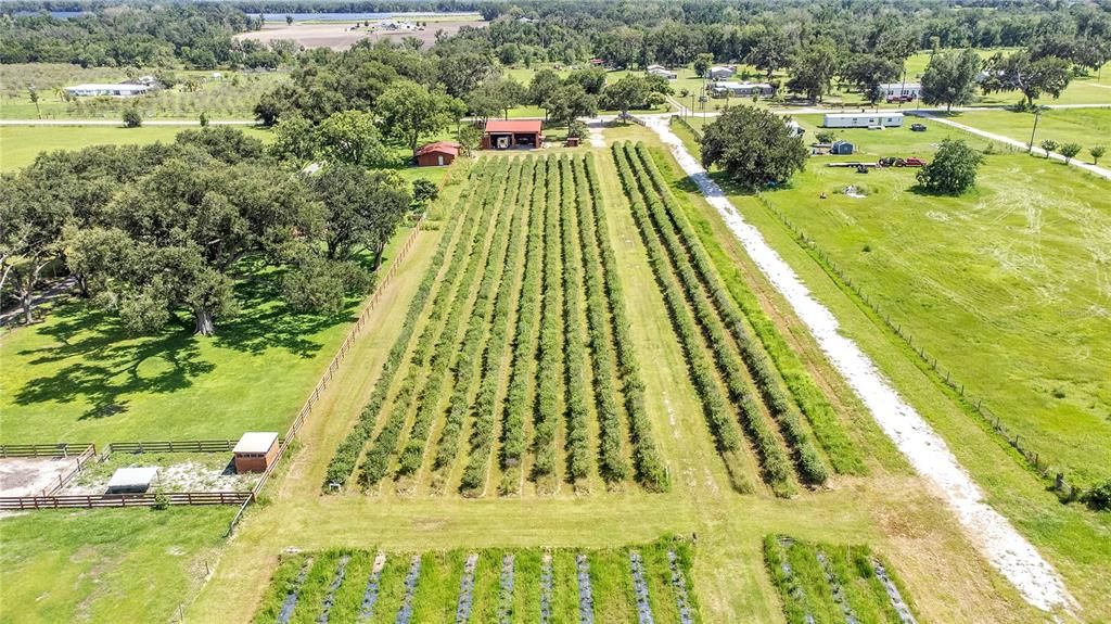 6205 BETHLEHEM ROAD, Mulberry, FL 33860