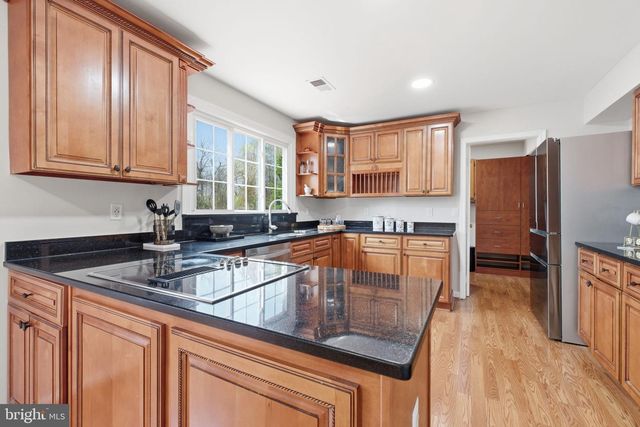 12005 MEADOWVILLE CT, Herndon, VA 20170