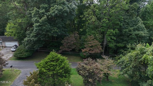 Tr 14 Pine Forest Lane, Unicoi, TN 37601