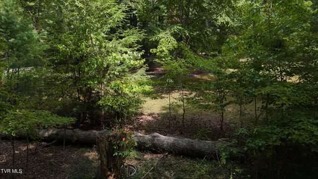 Tr 14 Pine Forest Lane, Unicoi, TN 37601