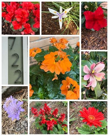 722 Azaleadell Drive, Houston, TX 77018