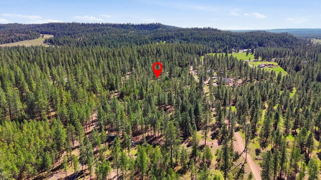 6XXX E Elk Chattaroy Rd, Chattaroy, WA 99003