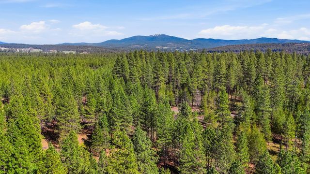 6XXX E Elk Chattaroy Rd, Chattaroy, WA 99003