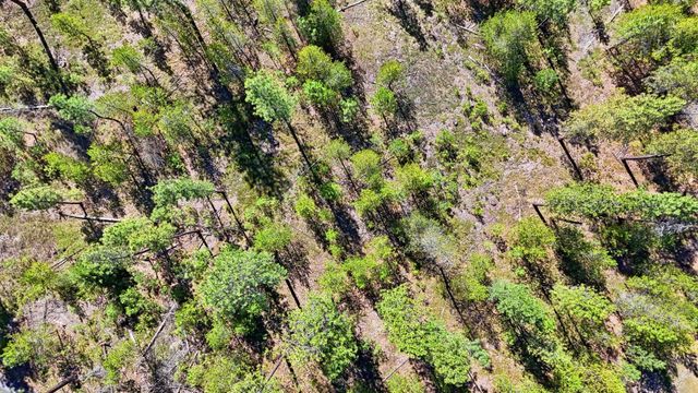 6XXX E Elk Chattaroy Rd, Chattaroy, WA 99003