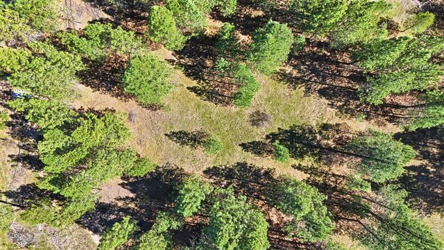 6XXX E Elk Chattaroy Rd, Chattaroy, WA 99003