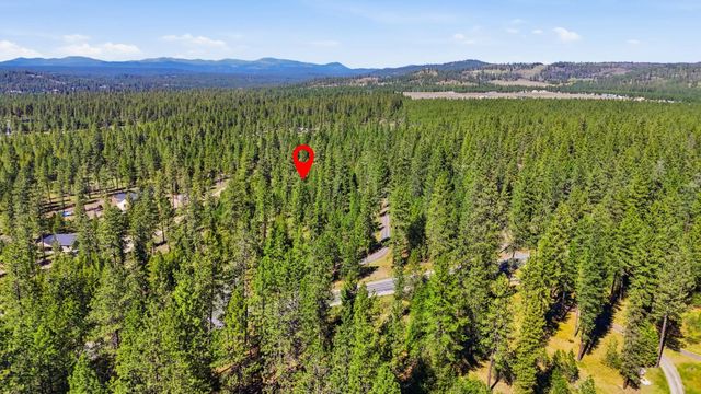 6XXX E Elk Chattaroy Rd, Chattaroy, WA 99003