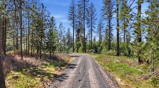 6XXX E Elk Chattaroy Rd, Chattaroy, WA 99003