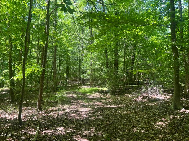 0 Jones Ferry Road, Chapel Hill, NC 27516