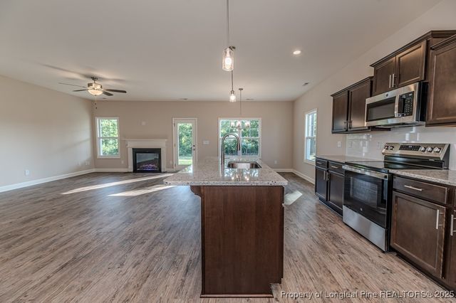 52 Blackgum Court, Spring Lake, NC 28390