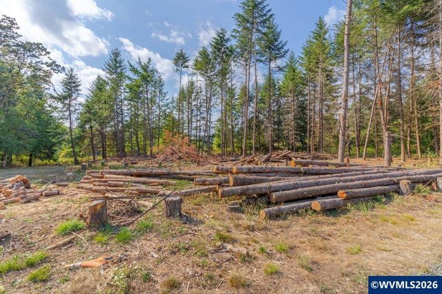 11 N Main St, Falls City, OR 97344