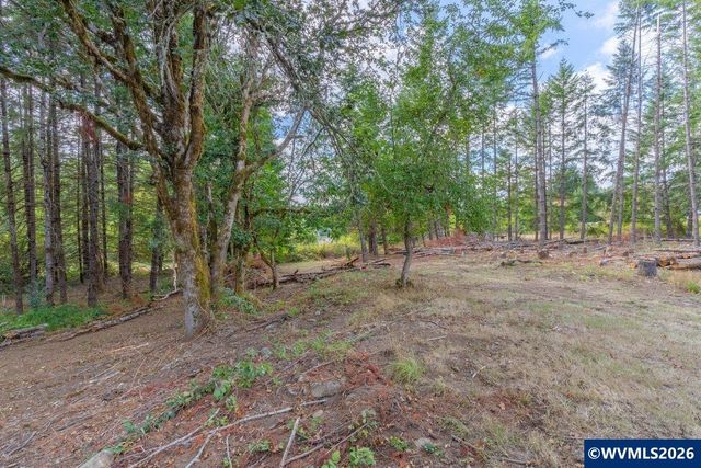 11 N Main St, Falls City, OR 97344