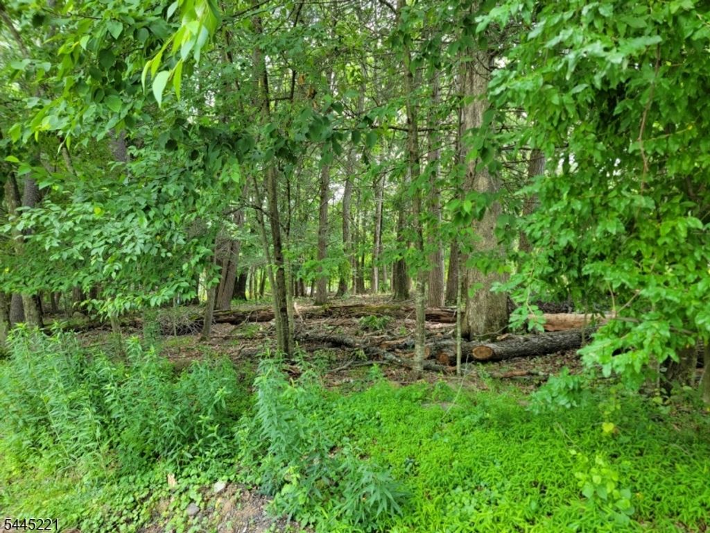 231 Old Chimney Ridge Rd, Montague Twp., NJ 07827 — exterior