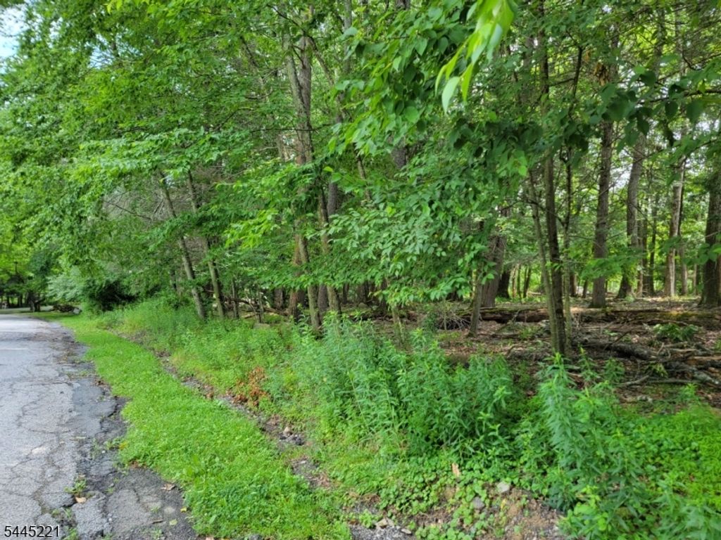 231 Old Chimney Ridge Rd, Montague Twp., NJ 07827 — photo 3