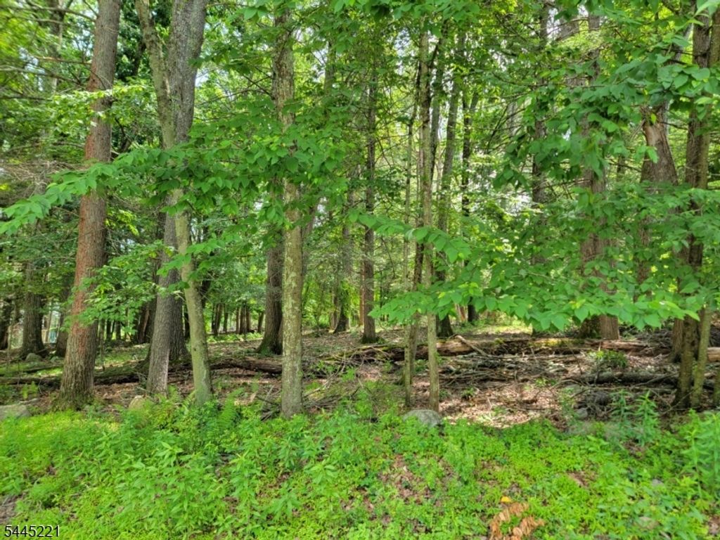 231 Old Chimney Ridge Rd, Montague Twp., NJ 07827 — photo 5
