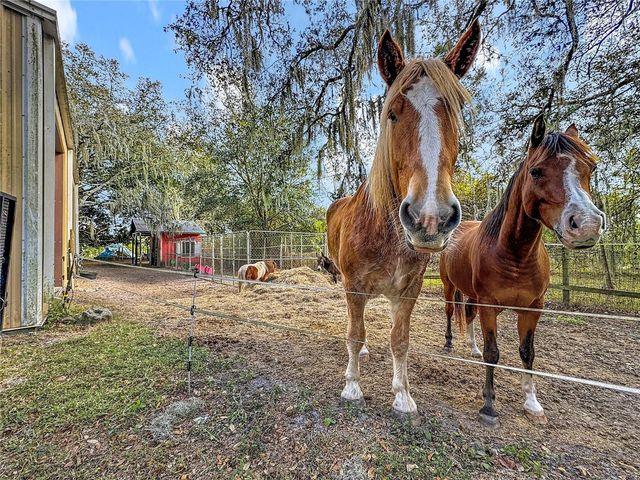 4295 RAMBLER AVENUE, St Cloud, FL 34772