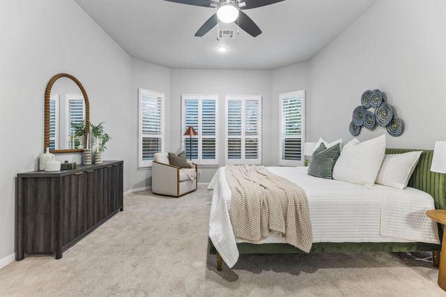 2516 Portici PASS, Round Rock, TX 78665