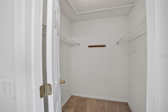 3832 BLACKBERRY CIRCLE, St Cloud, FL 34769