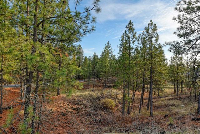 32103 N Perry Rd, Deer Park, WA 99006