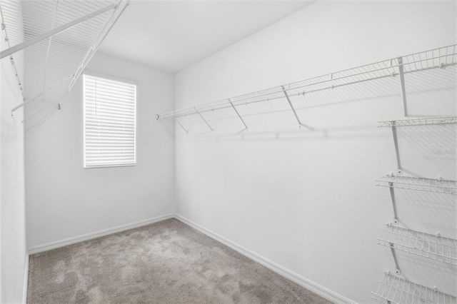 7329 CANTERBURY BELLS COURT, Tampa, FL 33619