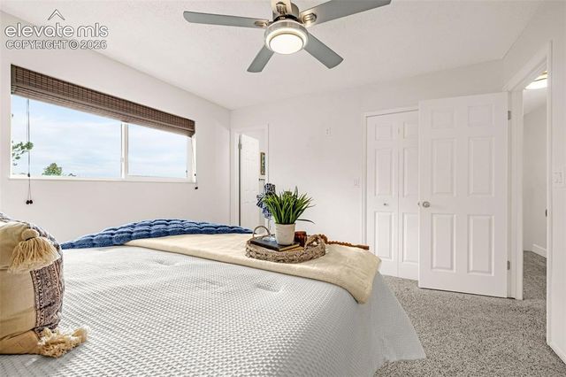5155 Bitterweed Lane, Colorado Springs, CO 80917