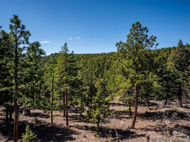 8727 S Fairall Rd, Morrison, CO 80465