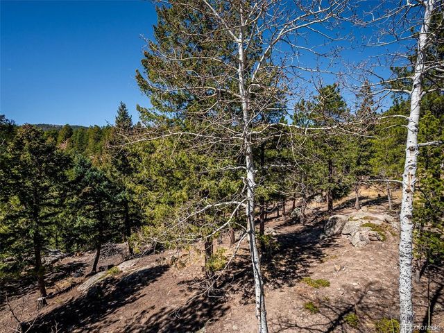 8727 S Fairall Rd, Morrison, CO 80465