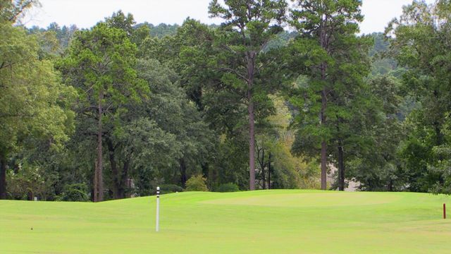 264 Peaceful Valley Trail, Holly Lake Ranch, TX 75765