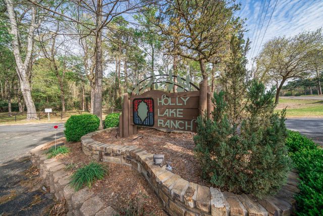 264 Peaceful Valley Trail, Holly Lake Ranch, TX 75765