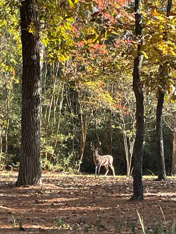 264 Peaceful Valley Trail, Holly Lake Ranch, TX 75765