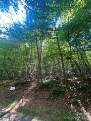 Lot 272 Hummingbird Court, Lake Lure, NC 28746