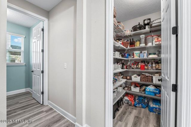 1917 AMBERLY Drive, Middleburg, FL 32068