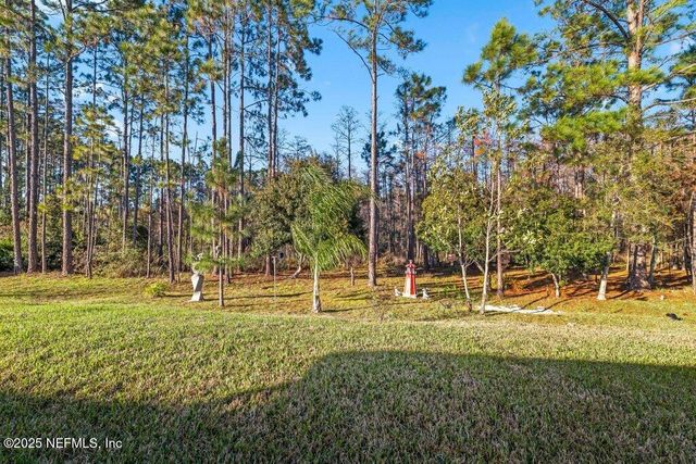 1917 AMBERLY Drive, Middleburg, FL 32068